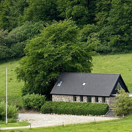 Stenhuset I Pilbrodalen Skanderborg Exterior foto